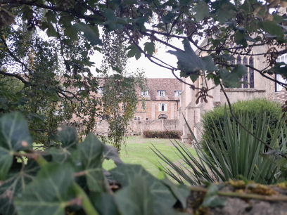 Ely Oyster Lane